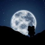 The Learning journey begins